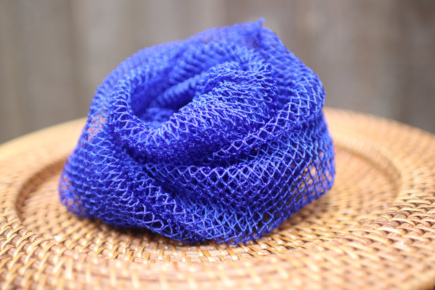 net sponge blue