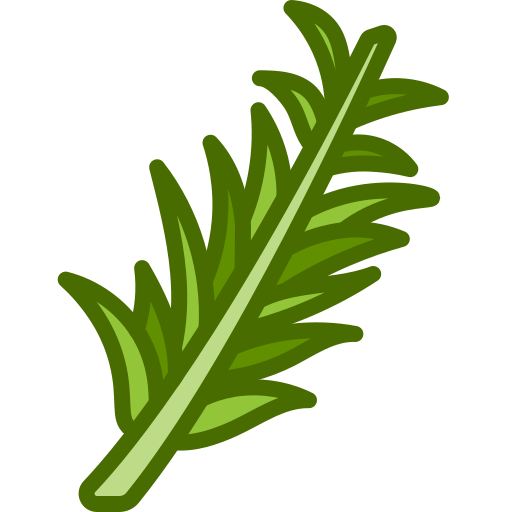 Rosemary